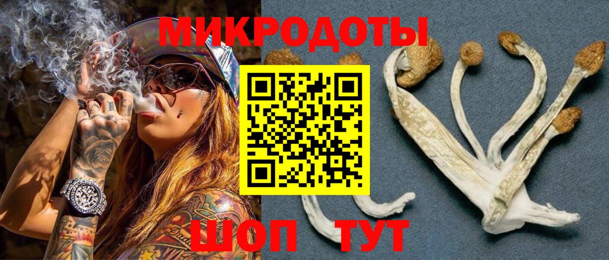 Псилоцибиновые грибы GOLDEN TEACHER  Вход с VPN  Полысаево  сколько стоит  Псилоцибиновые грибы MAGIC MUSHROOMS 